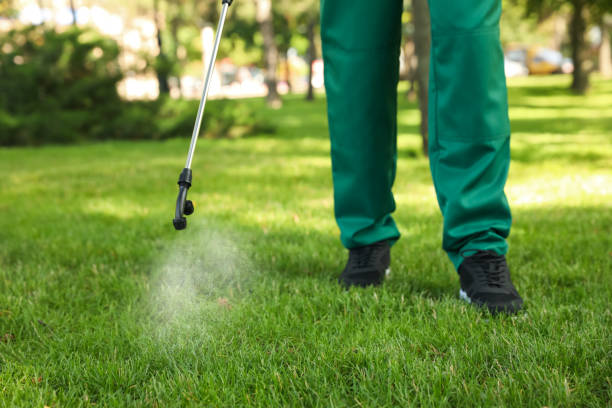 Best Pest Prevention Services  in Foxfire, NC
