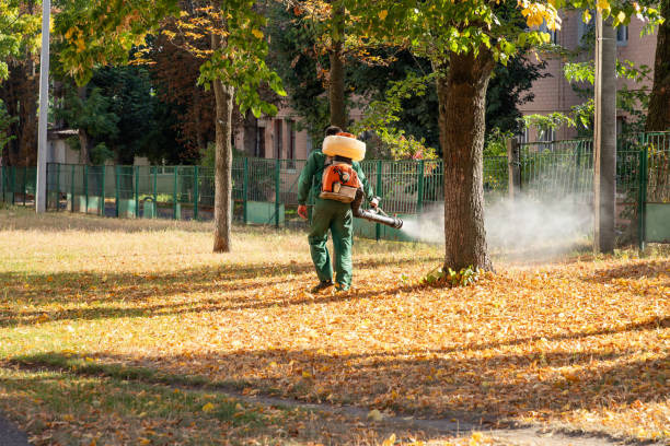 Best Pest Removal Services  in Foxfire, NC