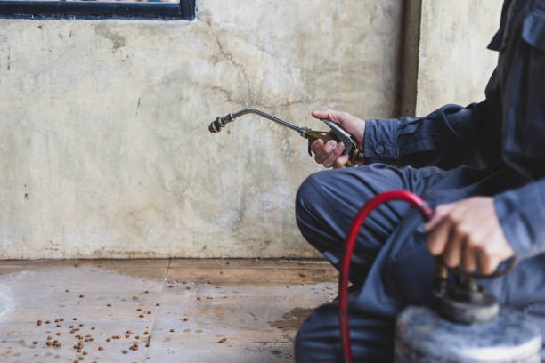 Best Ant Control Services  in Foxfire, NC