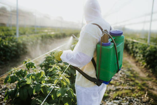 Best Pest Control for Restaurants  in Foxfire, NC